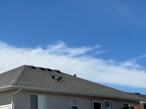 Best Green or Eco-Friendly Roofing Solutions  in Silverton, OR